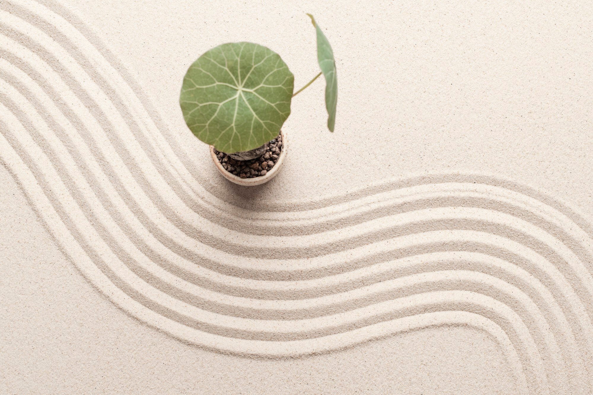 Wellness abstract